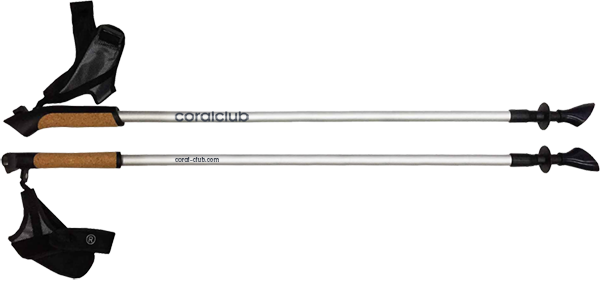 Палки для скандинавской ходьбы серебристые, S / M